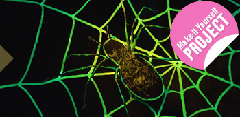 Halloween Glow-in-the-dark Spider in its Web