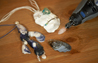 How to Make Shell Jewellery