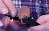 How to create personalised jewellery with punches and rivets by Palmer Metals