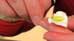 How to colour a sugarcrafted lily petal