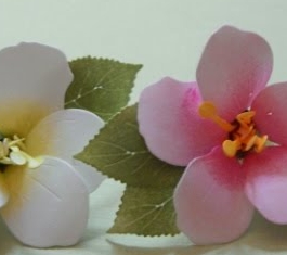 Spellbinders Cherry Blossoms Spellbinders Cherry Blossoms