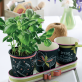 Chalkboard Plant Pots
