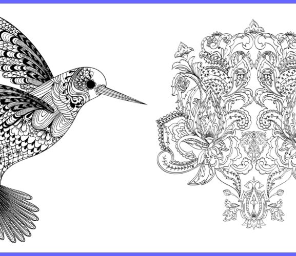 Hummingbird & Flower Art Therapy Designs
