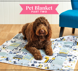 Make a Pet Blanket: Part Two