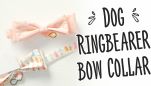 Sew a Dog Ringbearer Bow Collar