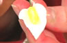How to colour a sugarcrafted lily petal