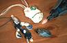 How to Make Shell Jewellery with the Dremel 300 series multi tool
