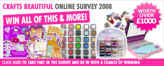 Survey 2008