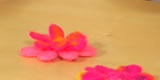 Video Project Image