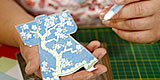 Video Project Image