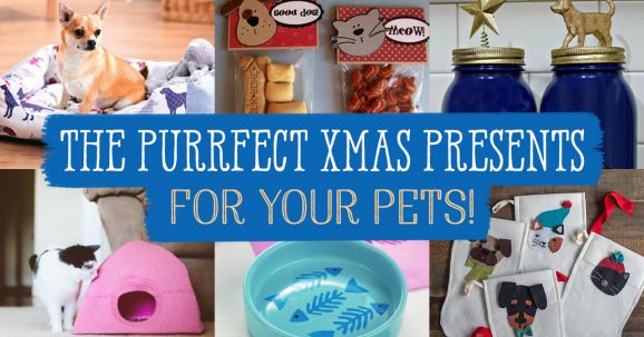 The Purrfect Xmas Presents For Your Pets!