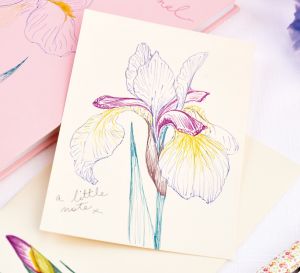 How To Draw Elegant Flower Illustrations With EMOTT