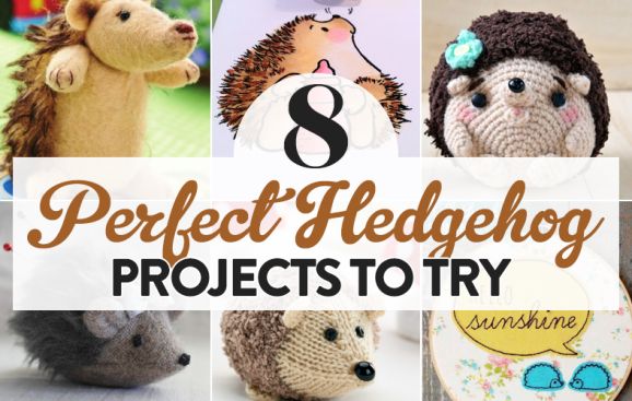 8 Perfect Hedgehog Projects To Try