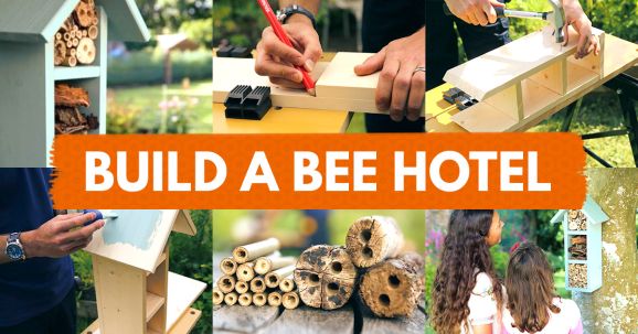 Build A Bee Hotel
