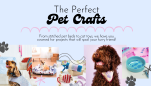 The Perfect Pet Crafts to Spoil Your Furry Friend