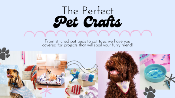 The Perfect Pet Crafts to Spoil Your Furry Friend