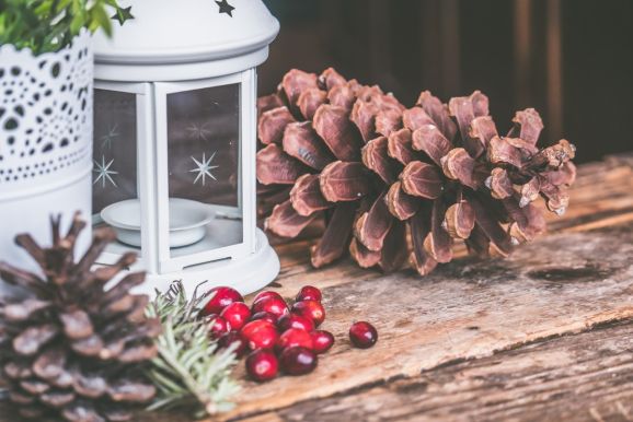 5 Greenery Ideas For Your Christmas Crafting