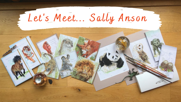 Let’s Meet… Sally Anson