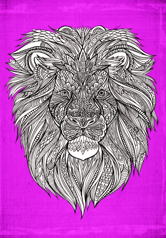 7 Amazing Animals To Colour In 7 Amazing Animals To Colour In