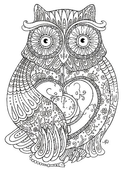7 Amazing Animals To Colour In 7 Amazing Animals To Colour In