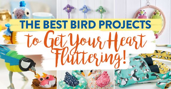 The Best Bird Projects to Get Your Heart Fluttering!