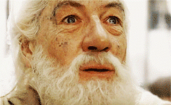 10 Stages Of Visiting A Craft Shop 10 Stages Of Visiting A Craft Shop