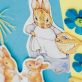 Classic Peter Rabbit Style Cards