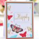 Butterfly Greeting Cards