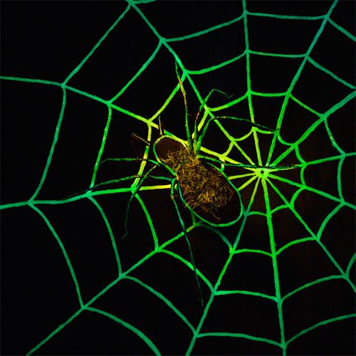 Glow in the Dark Spider Web Halloween Decoration