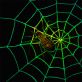 Glow in the Dark Spider Web Halloween Decoration