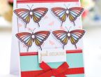 Butterfly Greeting Cards