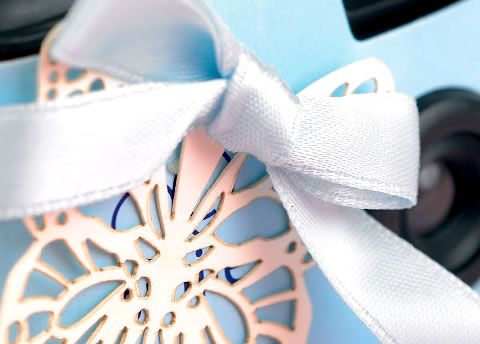 Vintage Blue Embellished Wedding Camera