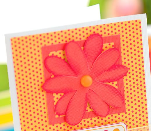 Die Cut Orange Flower Greeting Cards