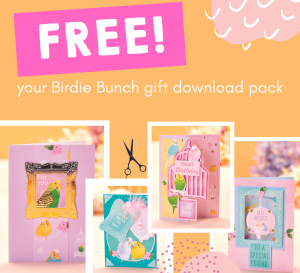 15 Card Ideas With Your Birdie Bunch Cardmaking Kit