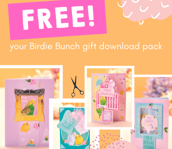 15 Card Ideas With Your Birdie Bunch Cardmaking Kit