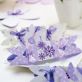 Butterfly Wedding Favour Boxes