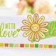 Paper Flower Pop-Ups