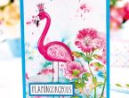 Colourful Flamingo Greetings