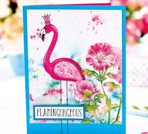 Colourful Flamingo Greetings