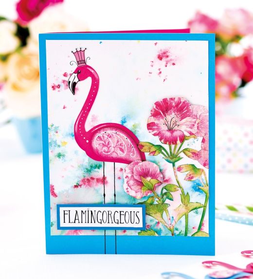 Colourful Flamingo Greetings