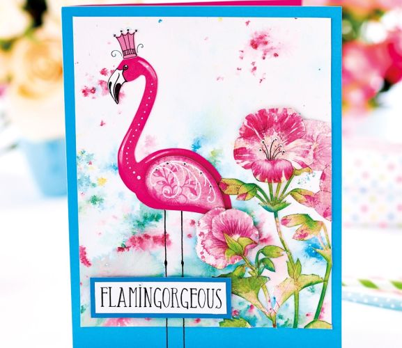 Colourful Flamingo Greetings