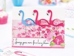 Colourful Flamingo Greetings