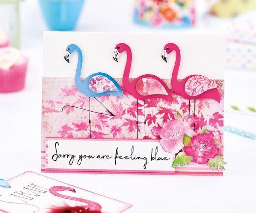 Colourful Flamingo Greetings