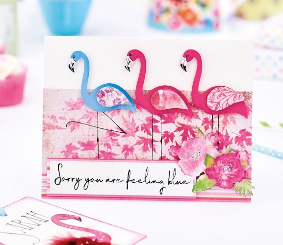 Colourful Flamingo Greetings