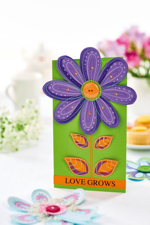 Bold Bloom Set