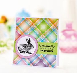 Three Bonus Cards With Your Spring Days Stamp Set: Part Two Three Bonus Cards With Your Spring Days Stamp Set: Part Two