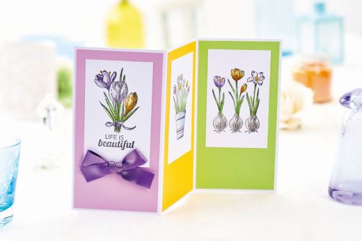 Three Bonus Cards With Your Spring Days Stamp Set: Part Two