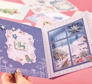 SNEAK PEEK! 3D Window Card Kit