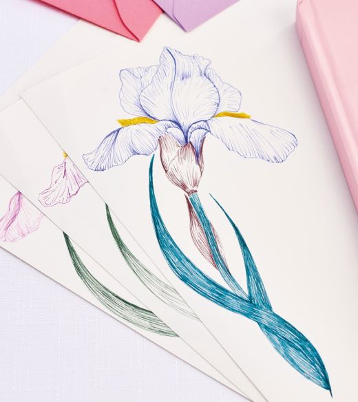 How To Draw Elegant Flower Illustrations With EMOTT