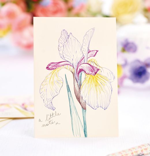 How To Draw Elegant Flower Illustrations With EMOTT